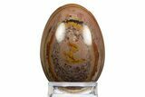Polished Picture Stone Egg - Arizona #312728-1
